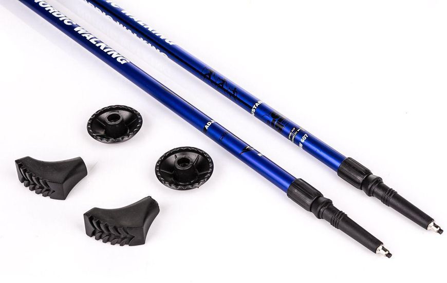Палки для скандинавской ходьбы NILS Extreme NW 607 Blue 21094 фото