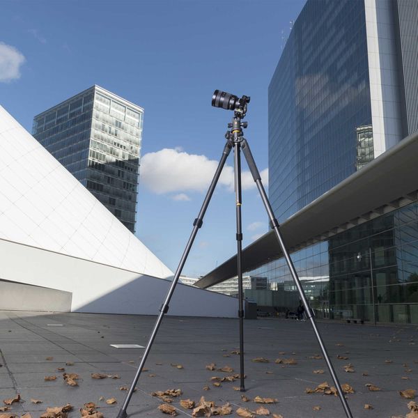 Штатив Vanguard Alta Pro 2+ 263AB 100 (Alta Pro 2+ 263AB 100) DAS1881 фото