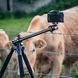 Штатив Vanguard Alta Pro 2+ 263AB 100 (Alta Pro 2+ 263AB 100) DAS1881 фото 27