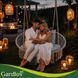 Качели "Гнездо аиста" серая Gardlov 27378 49767 фото 8