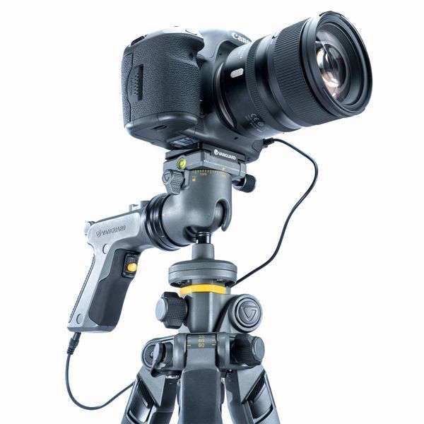 Штатив Vanguard Alta Pro 2+ 263CGHT (Alta Pro 2+ 263CGHT) DAS1889 фото