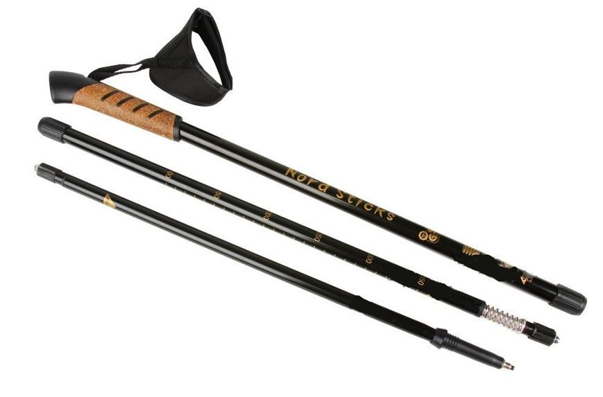 Палки для скандинавской ходьбы Nord Sticks Black ORIGINAL ПОЛЬША 12200 фото