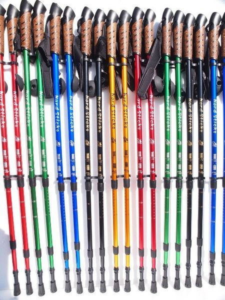 Комплект Палки для скандинавской ходьбы Nord Sticks + чехол + наконечники 12203 фото