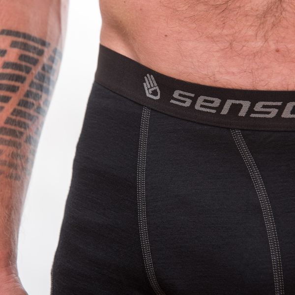 Термотруси чоловічі Sensor Merino Active black 12110021, SM21MA-black-L SM21MA-black-L фото