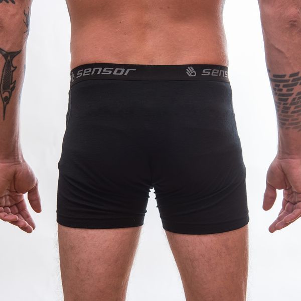 Термотруси чоловічі Sensor Merino Active black 12110021, SM21MA-black-L SM21MA-black-L фото