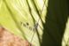 Намет санітарний Tribe Shower Pro T-AC-0001-olive T-AC-0001-olive фото 47
