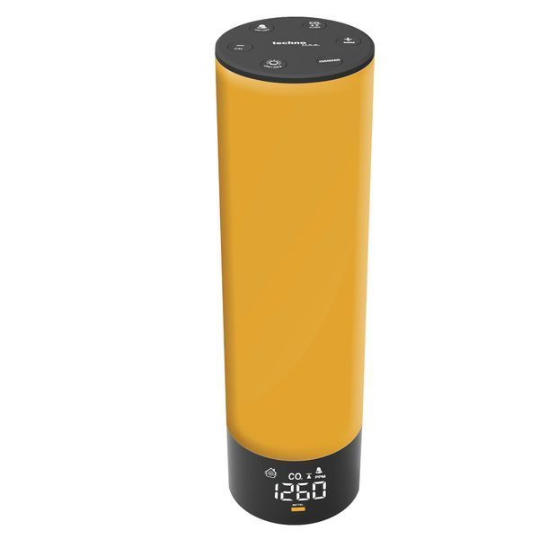 Метеостанция Technoline WL1045 Black (WL1045) DAS2302 фото