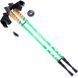 Палки для скандинавской ходьбы Nord Sticks Green ORIGINAL ПОЛЬША 12188 фото 1