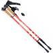 Палки для скандинавской ходьбы Nord Sticks Red ORIGINAL ПОЛЬША 12189 фото 1