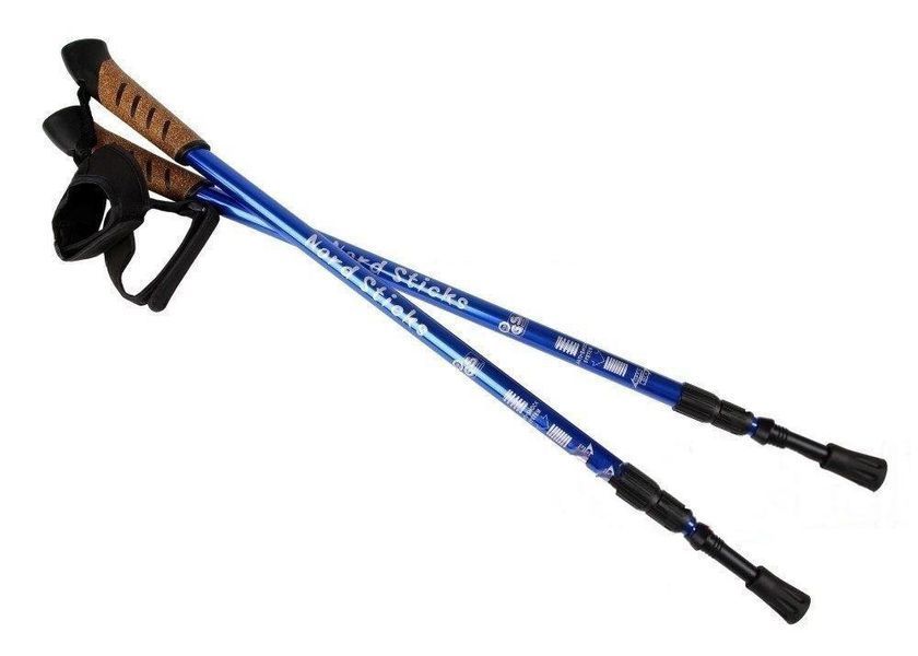 Палки для скандинавской ходьбы Nord Sticks Blue ORIGINAL ПОЛЬША 12190 фото