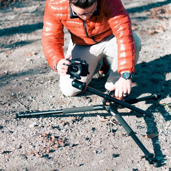Штатив Vanguard Alta Pro 263AB 100 (Alta Pro 263AB 100) DAS975 фото