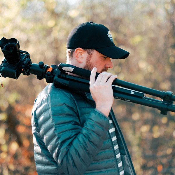 Штатив Vanguard Alta Pro 263AB 100 (Alta Pro 263AB 100) DAS975 фото