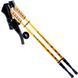 Палки для скандинавской ходьбы Nord Sticks Gold ORIGINAL ПОЛЬША 12187 фото 1