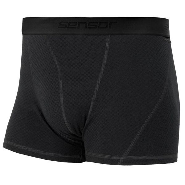 Термотруси чоловічі Sensor Merino DF black 15100027, SM21M-black-L SM21M-black-L фото
