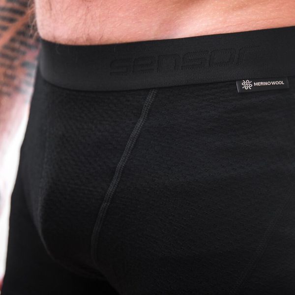 Термотруси чоловічі Sensor Merino DF black 15100027, SM21M-black-L SM21M-black-L фото