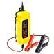 Зарядное устройство для автомобильного аккумулятора Trotec PBCS 2A, 12V, 4-60Ah (4675000001) DAS2861 фото 8