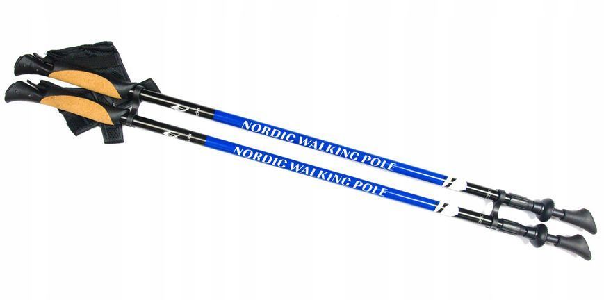 Палки для скандинавской ходьбы Nord Sticks 2 Blue ORIGINAL ПОЛЬША 12239 фото