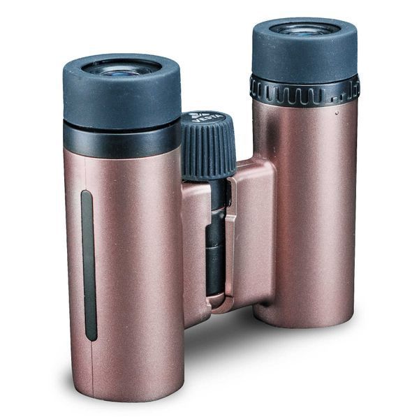 Бинокль Vanguard Vesta Compact 10x21 WP Rose Gold (Vesta 1021 Rose) DAS758 фото