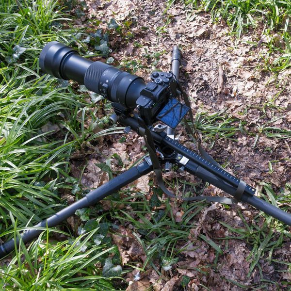 Штатив Vanguard VEO 3+ 303CBS (VEO 3+ 303CBS) DAS1714 фото