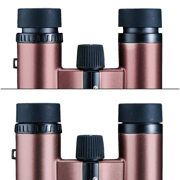 Бинокль Vanguard Vesta Compact 8x21 WP Rose Gold (Vesta 8210 Rose) DAS761 фото