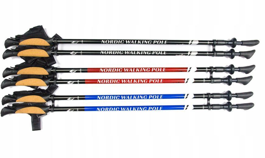 Палки для скандинавской ходьбы Nord Sticks 2 Red ORIGINAL ПОЛЬША 12240 фото