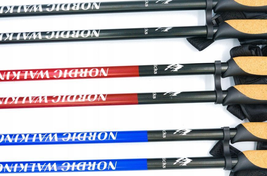 Комплект Палки для скандинавской ходьбы Nord Sticks двухсекционные + чехол + наконечники 12248 фото