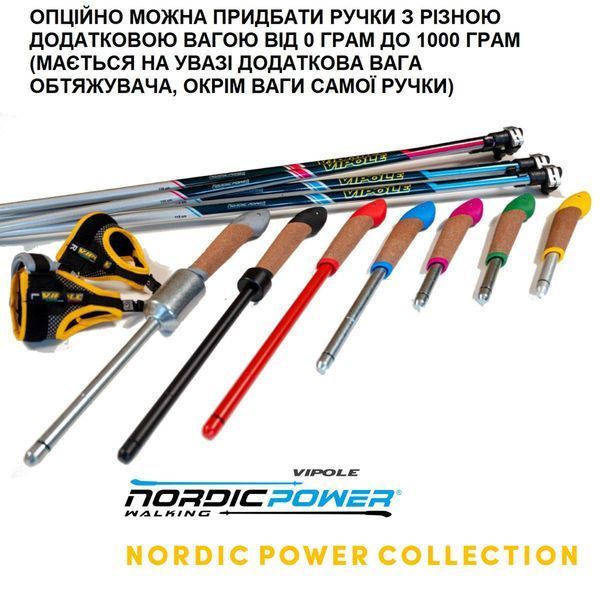 Секція палиць для скандинавської ходьби Vipole Asta Power Steps Blue 105 (SW20 01) DAS3560 фото