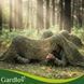 Камуфляжная маскирующая сетка 3x6 м Gardlov 27385 + 100 шт. стяжек 49890 фото 3