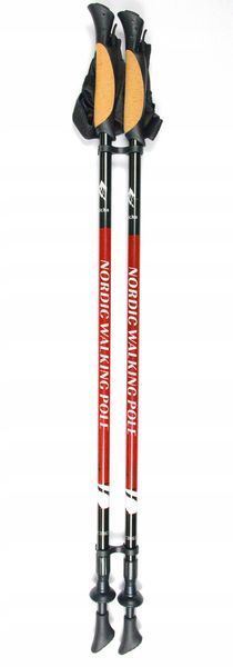 Палки для скандинавской ходьбы Nord Sticks 2 Black ORIGINAL ПОЛЬША 12238 фото