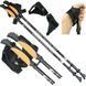 Палки для скандинавской ходьбы Nord Sticks 2 Black ORIGINAL ПОЛЬША 12238 фото 1