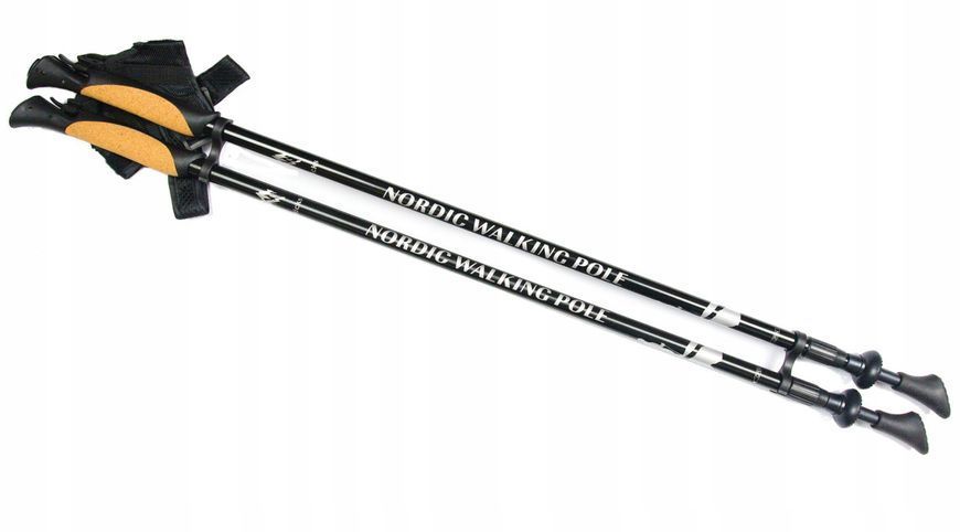 Палки для скандинавской ходьбы Nord Sticks 2 Black ORIGINAL ПОЛЬША 12238 фото